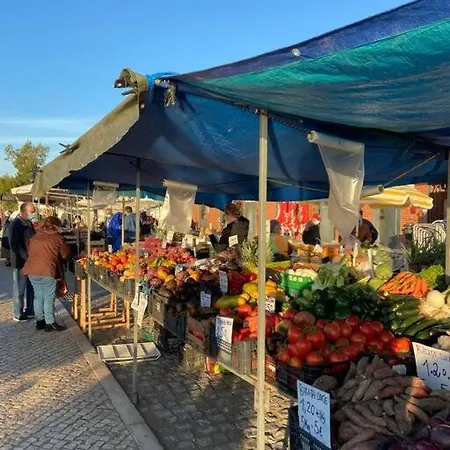 Casawolhao Janeiro - Tour Du Pecheur Vue